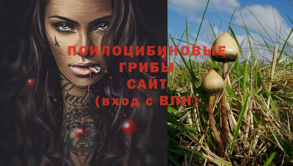 хмурый Богданович