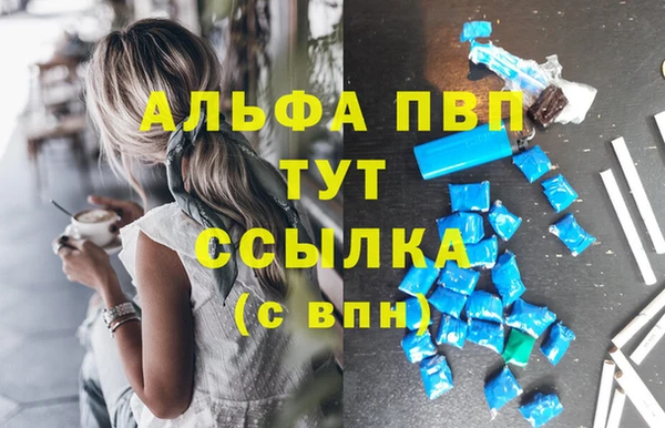 сатива Белоозёрский