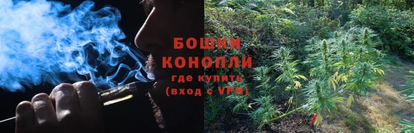 ALPHA PVP Богородицк