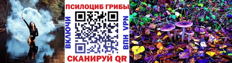 Псилоцибиновые грибы MAGIC MUSHROOMS  Брюховецкая 